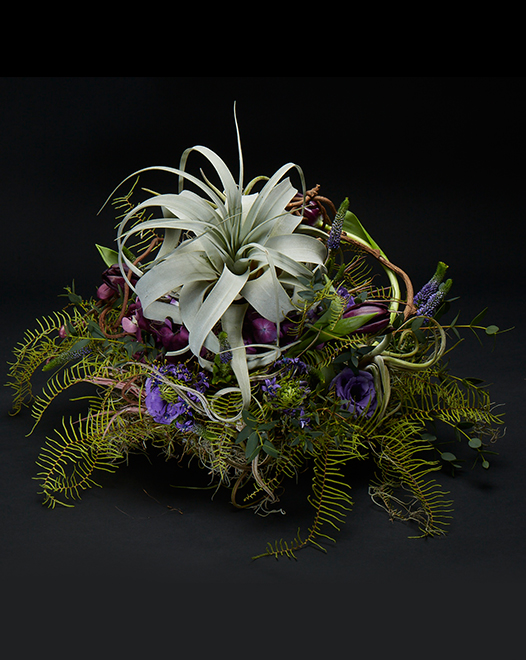 TJFlowers 0032