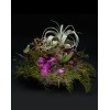 TJFlowers 0032