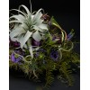 TJFlowers 0032
