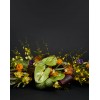 TJFlowers 0035