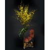 TJFlowers 0036