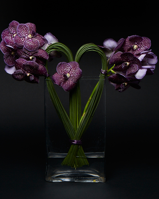TJFlowers 0047